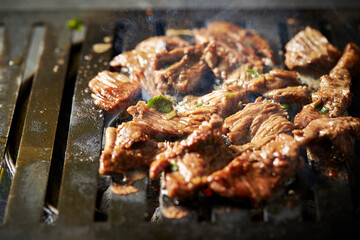 grilled meat on the grill	