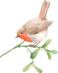 Beautiful png stock illustration with watercolor Christmas mistletoe plant and robin bird.
