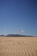 Fototapeta na wymiar Sand dunes in Fuerteventura Canary Islands