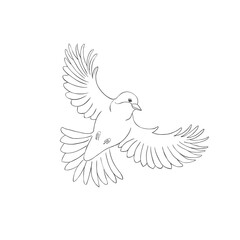 Bird on the White Background. Vector