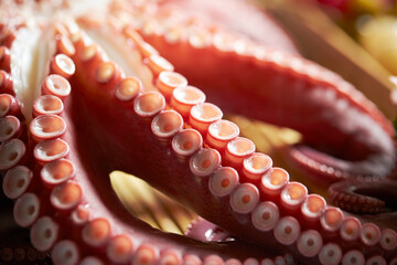 close up of octopus on a plate
