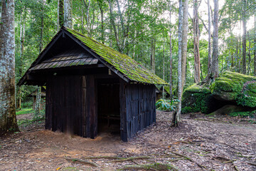 An old wooden hut with green moss covering the roof in a tropical forest.