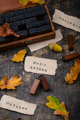 Naklejka premium Autumn background with dry leaves.