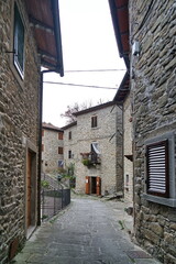 Fototapeta na wymiar Glimpse of the ancient medieval village of Raggiolo, Tuscany, Italy