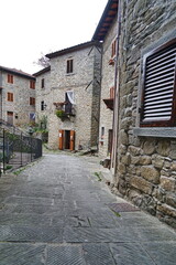 Fototapeta premium Glimpse of the ancient medieval village of Raggiolo, Tuscany, Italy