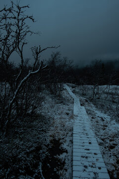 dark moody foggy landscape, path in Norwegian mountain to the top of Rogne at night