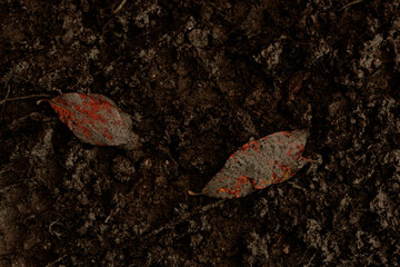 dark muddy road background with tire traces, dirty ground and autumn leaves
