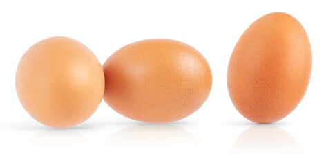 Set of raw chicken eggs