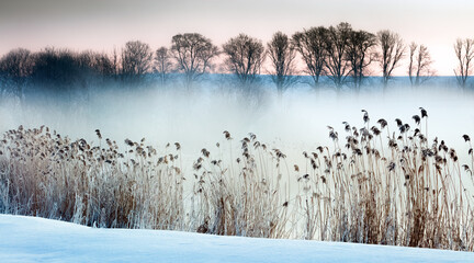 Zima Nad Rzeką  © Wojciech Lisiński