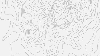 The stylized height of the topographic map contour in lines and contours. Black on gray. The concept of a conditional geography scheme and the terrain path. Wide Size. Vector illustration.