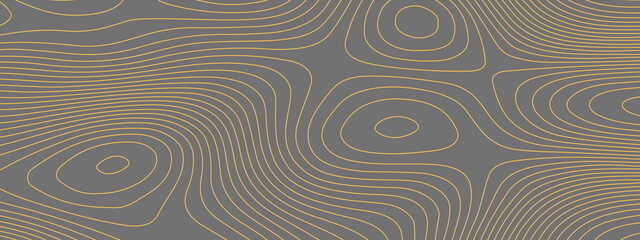 The stylized gradient color abstract topographic map with lines and circles background. Topographic map and place for texture. Topographic gradient linear background with copy space. Vector 