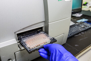 Protein Concentration Assay