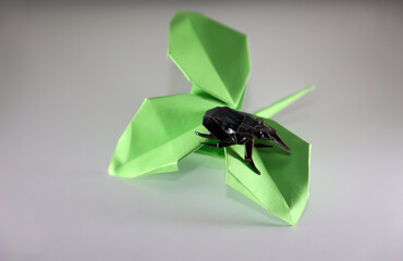 Ein Käfer auf einem grünen Blatt hergestellt mit der Origami Technik.