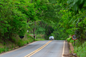 Paisagem de um trecho da Rodovia GO-462, com um carro no caminho, em Goiás. Túnel de árvores. Estrada goiana.