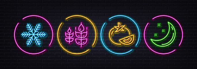Gluten free, Snowflake and Tomato minimal line icons. Neon laser 3d lights. Moon stars icons. For web, application, printing. Bio ingredients, Air conditioning, Fresh vegetable. Night. Vector