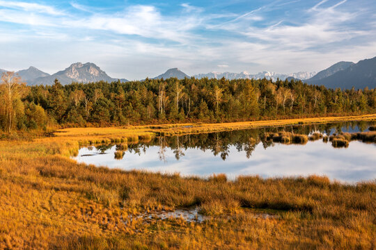 Nicklheimer Filze, ein Hochmoor bei Raubling, Bayern im Abendlicht