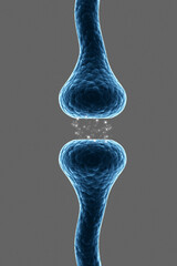 3d rendered Synapse isolated on grey background
