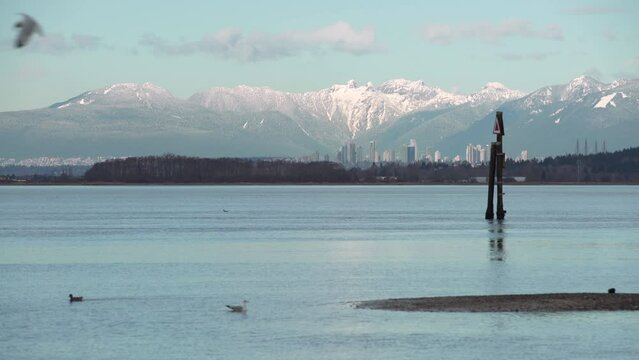 Burnaby BC Skyline across Boundary Bay 4K UHD. The towers of Burnaby BC and the Coast Mountains seen from the shore of Blackie Spit at Crescent Beach, Surrey, BC. 4K, UHD.
