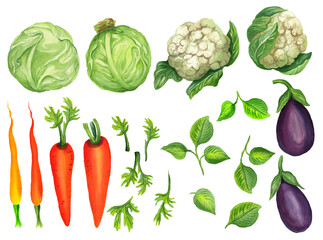 Watercolor set with vegetables. Transparent layer.