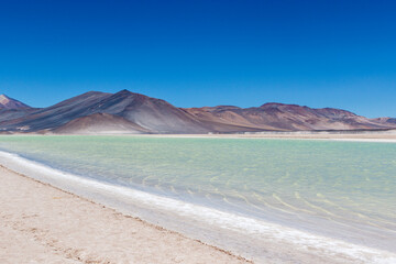 Chile altiplano Miscanti lagoon and Minique volcano near San Pedro de Atacama, Antofagasta, Chili, South America