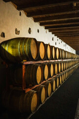barrels of wine in wine cellar on Lanzarote