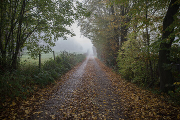 Nebel im Herbst