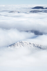 Above sea of fog in winter mountains. Sunny day in snow covered Carpathian Mountains. Ukraine. Clouds above clear sky
