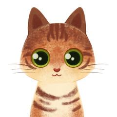 Norwegian forest cat. Cute cat portrait. Cat breeds