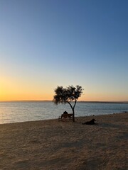 orange sea sunset, twilights sea horizon, romantic