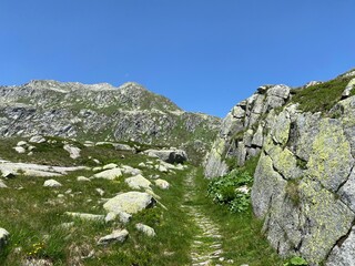 Fototapeta premium Hiking trails or mountaineering routes in the summer Swiss Alpine environment and in the St. Gotthard pass (Gotthardpass) mountain area, Airolo - Canton of Ticino (Tessin), Switzerland (Schweiz)
