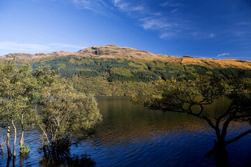 View Across Loch Lomond to Hillside Trees in Scotland