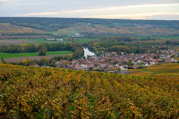 Fototapeta na wymiar Colorful autuimn view on champagne vineyards in village Hautvillers near Epernay, Champange, France