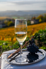 Tasting of premier cru sparkling white wine with bubbles champagne on outdoor terrace with view on colorful vineyards in Hautvillers in October, near Epernay, France