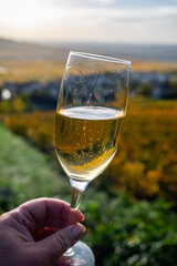 Tasting of premier cru sparkling white wine with bubbles champagne on outdoor terrace with view on colorful vineyards in Hautvillers in October, near Epernay, France