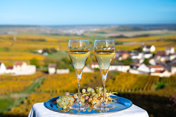 Tasting of french sparkling white wine with bubbles champagne on outdoor terrace with view on colorful grand cru Champagne vineyards in Cramant in October, near Epernay, France