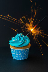 Tasty cupcake with sparkler on a black background. Cake with blue cream. Photo in low key. Festive dessert and congratulations.