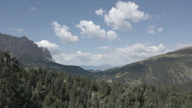 For&ecirc;ts dans les Dolomites