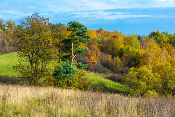 The Bieszczady hills covered with golden and orange colors.