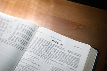Libro de Habacuc en la biblia