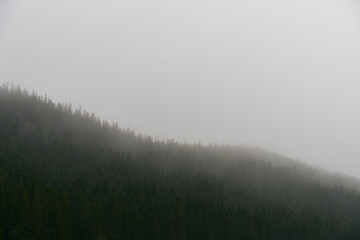 Oksbakklia Hill, part of the Totenaasen Hills, Norway, a foggy day in late fall.