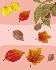 3d illustration of a beautiful background with autumn leaves