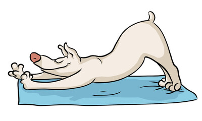 Hund in Yogapose streckt sich genüsslich auf seiner Matte