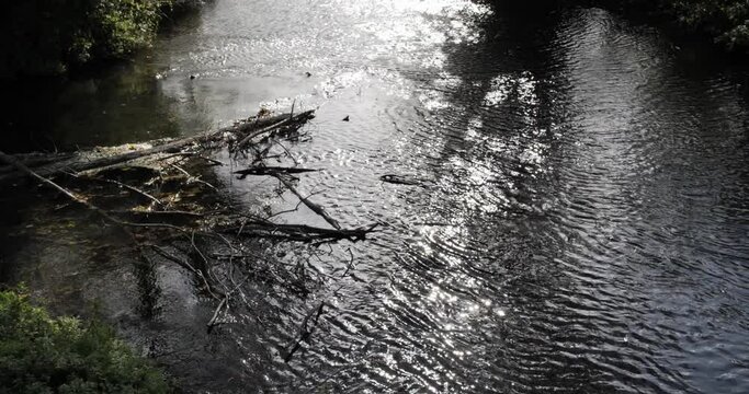 Reflets de lumi&egrave;res et d'ombres sur plan d'eau en soir&eacute;e