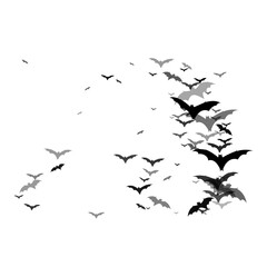 Bat PNG Format With Transparent Background