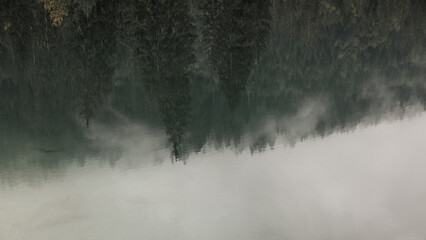 Reflection in a lake from a moody dark green pine tree forest on a foggy day