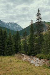 Górski potok w dolinie, Tatry