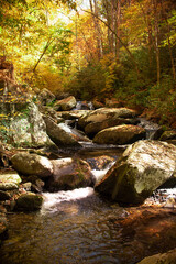 Creek in Autumn 