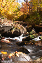 Naklejka na ściany i meble Creek in Autumn 