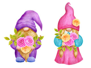 Gnomes with roses flowers. Birthday card design. Watercolor drawing. Garden gnomes isolated on white background.