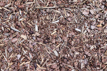 A path made of wood chips.